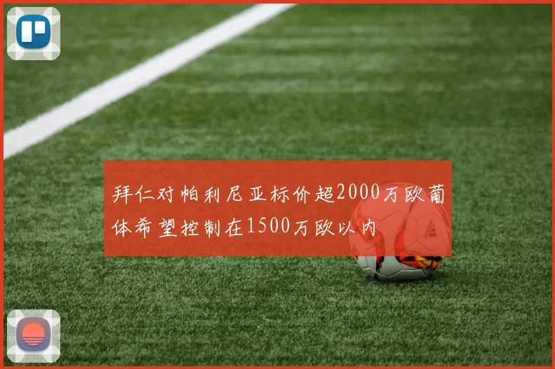 拜仁对帕利尼亚标价超2000万欧葡体希望控制在1500万欧以内